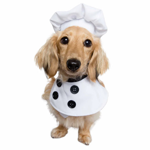 Pet Krewe Top Chef Uniform Costume For Dogs - Small/Medium