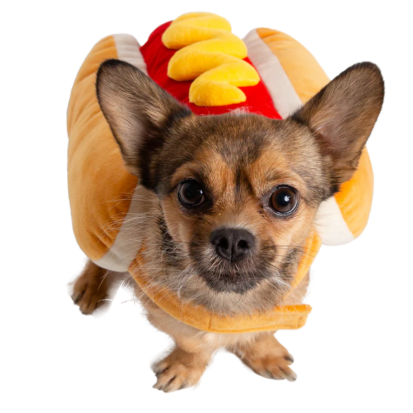 Pet Krewe Hot Dog Costume For Dogs Medium – Poudre Pet and Feed