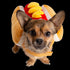 Pet Krewe Hot Dog Costume For Dogs - Large