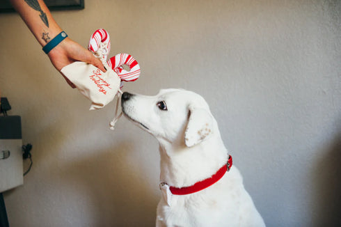 P.L.A.Y. Holiday Classic Cheerful Candy Canes Dog Toy