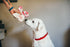 P.L.A.Y. Holiday Classic Cheerful Candy Canes Dog Toy