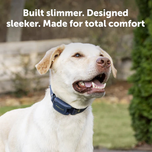 PetSafe Core Dog Trainer With Remote Dog Training Collar