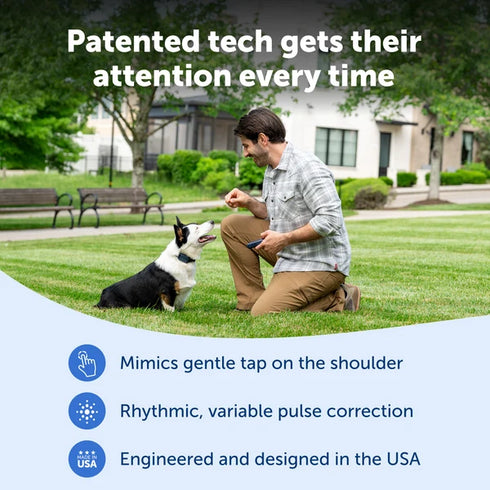 PetSafe Core Dog Trainer With Remote Dog Training Collar