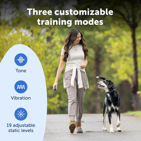 PetSafe Core Dog Trainer With Remote Dog Training Collar