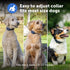 PetSafe Core Dog Trainer With Remote Dog Training Collar