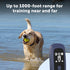 PetSafe Core Dog Trainer With Remote Dog Training Collar