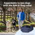 PetSafe Core Dog Trainer With Remote Dog Training Collar