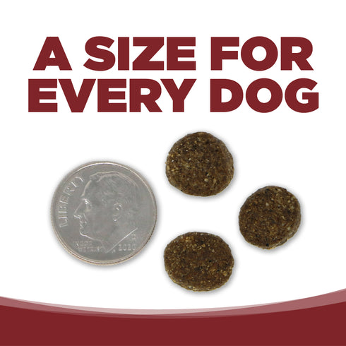 PureVita Grain Free Limited Ingredient Dry Dog Food - Beef & Red Lentils - 12lb Bag