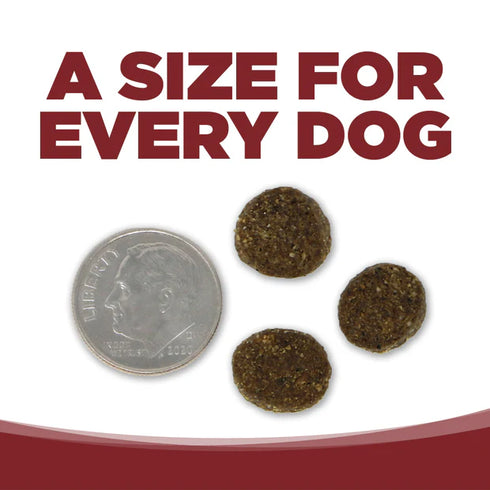 PureVita Limited Ingredient Dry Dog Food - Beef & Kale - 12lb Bag