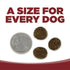 PureVita Limited Ingredient Dry Dog Food - Beef & Kale - 12lb Bag
