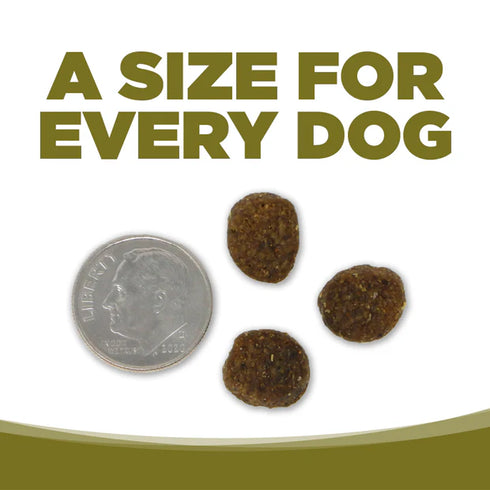 PureVita Limited Ingredient Grain Free Dry Dog Food - Duck & Kale - 4lb Bag