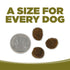 PureVita Limited Ingredient Grain Free Dry Dog Food - Duck & Kale - 4lb Bag