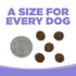 PureVita Grain Free Dry Dog Food - Lamb & Pumpkin - 4lb Bag