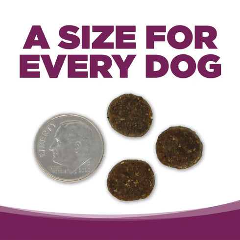 PureVita Limited Ingredient Grain Free Dry Dog Food - Pork & Blueberry - 4lb Bag