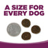 PureVita Limited Ingredient Grain Free Dry Dog Food - Pork & Blueberry - 4lb Bag