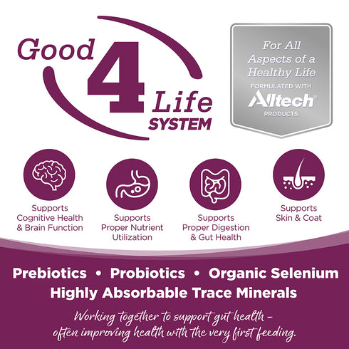 NutriSource PureVita Limited Ingredient Wet Dog Food - Pork - 12.3oz Can