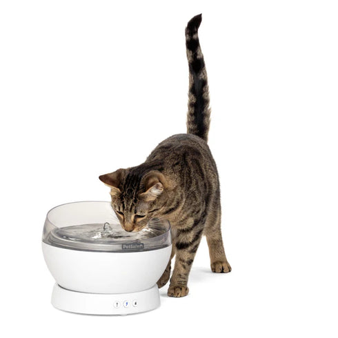 PetSafe HydroSphere 60oz Cordless Cat Water Fountain - White