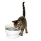 PetSafe HydroSphere 60oz Cordless Cat Water Fountain - White