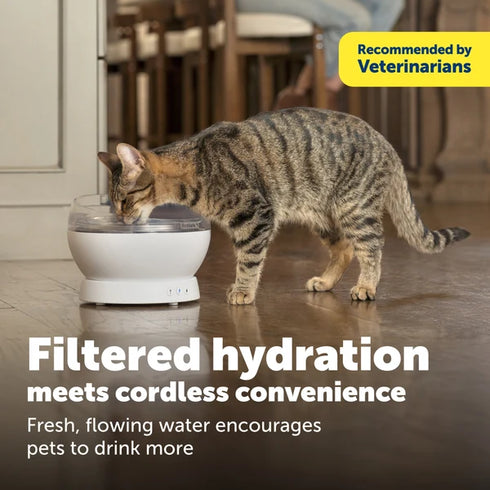 PetSafe HydroSphere 60oz Cordless Cat Water Fountain - Black