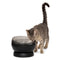 PetSafe HydroSphere 60oz Cordless Cat Water Fountain - Black