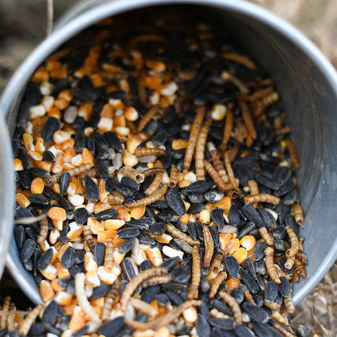 Happy Hen Party Time Mix Chicken Treats - Seed & Worm Blend - 2lb Bag