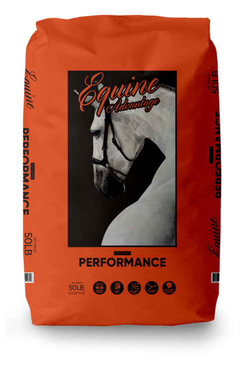 Kruse's Perfection Equine Advantage Performance Horse Feed - Textured - 40lb Bag