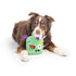 Huxley & Kent Pop 'N Fetch Zombie Pop-Eye Dog Toy