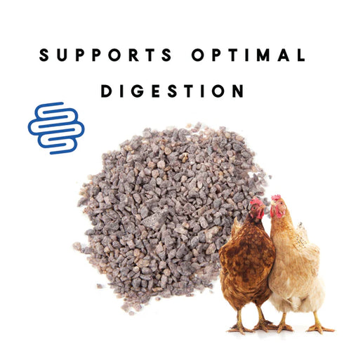 Manna Pro Poultry Grit with ProBiotics Supplement For Chickens - 5lb Bag