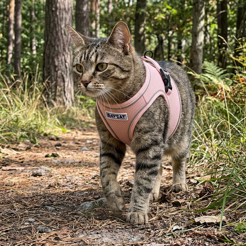BayCat Adventure Cat Harness - Medium - Pink