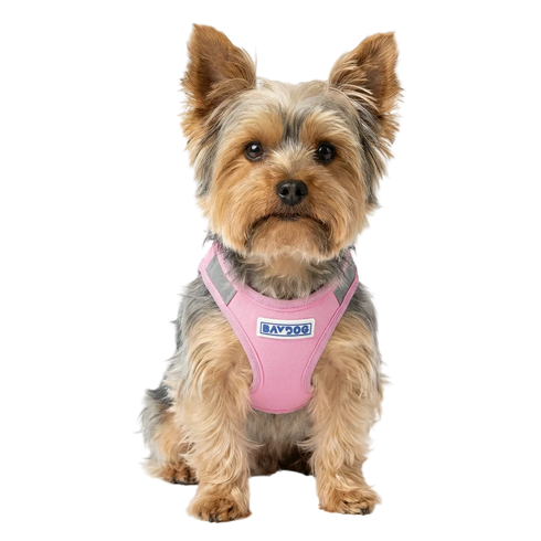 Bay Dog Liberty Dog Harness - X-Small 8.5-10" - Pink