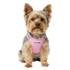 Bay Dog Liberty Dog Harness - X-Small 8.5-10" - Pink