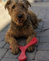 N-Gage Hydro Propeller Junior Dog Toy - Orange