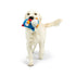 Huxley & Kent Pudgies Chicken Gordon Blue Dog Toy