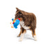 Huxley & Kent Pudgies Chicken Gordon Blue Dog Toy