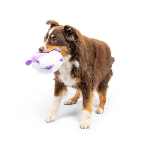 Huxley & Kent Pudgies Lady Baba Dog Toy - Large