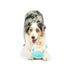Huxley & Kent Pudgies Nutty Buddy Dog Toy