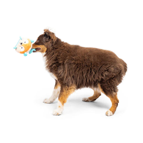 Huxley & Kent Pudgies Nutty Buddy Dog Toy