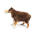 Huxley & Kent Pudgies Nutty Buddy Dog Toy