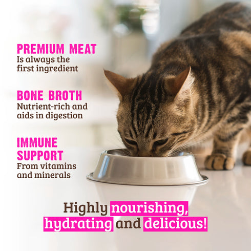 Rawz Gravy Wet Cat Food - Whole Sardines & Pumpkin - 5.5oz Can