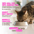 Rawz Dry Cat Food - Chicken & Turkey - 1.75lb Bag