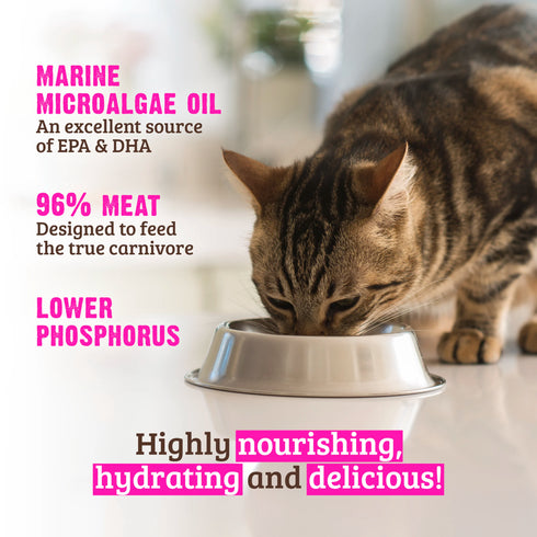 Rawz Lower Phosphorous Wet Cat Food - Turkey - 5.5oz Can