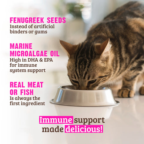Rawz Immune Support Wet Cat Food - Salmon & Tuna - 5.5oz Can