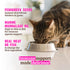 Rawz Immune Support Wet Cat Food - Salmon & Tuna - 5.5oz Can