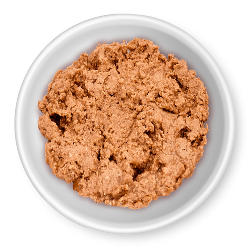 Rawz Digestive Support Pate Wet Dog Food - Beef & Pumpkin - 12.5oz Can