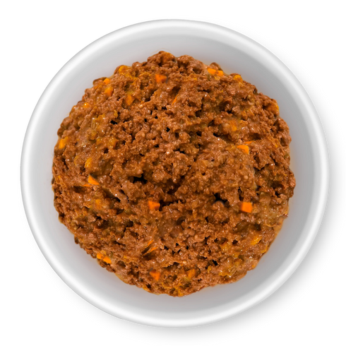 Rawz Shredded Wet Dog Food - Beef, Pumpkin, Sweet Potato, & Goats Milk - 10oz Can