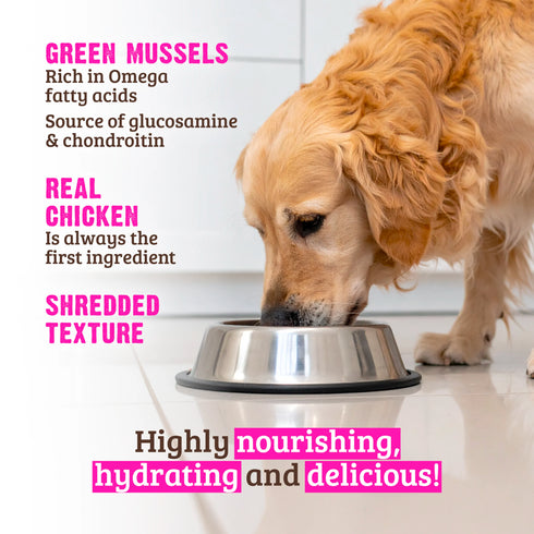 Rawz Shredded Wet Dog Food - Chicken, Duck, & New Zealand Green Mussels - 10oz Can