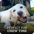 Redbarn Bully Jr Slices Dog Treats - Original - 4oz Bag