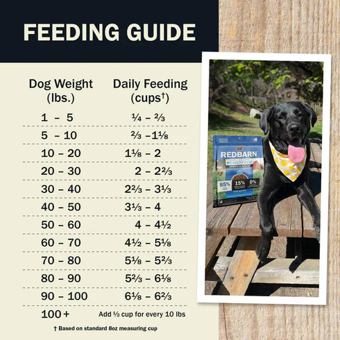 Redbarn Air Dried Powerfood Digestive Health Dog Food - Fish - 2.5oz Bag