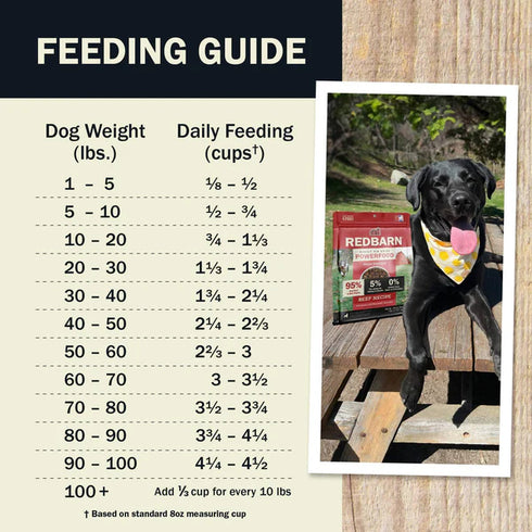 Redbarn High Protein Air Dried Dog Food - Beef - 2.5oz Bag