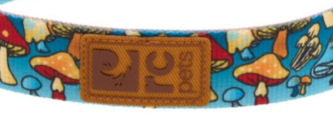 RC Pet Eco Dog Leash - 3/4" x 5' - Funky Fungi